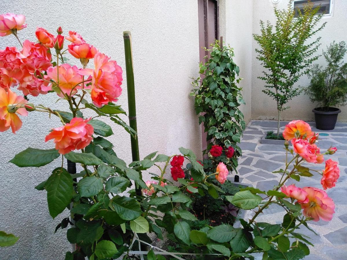 Old City Lg Apartments Tiflis Exterior foto